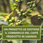 Un progetto dell’UE per sostenere il mercato del caffè e del cacao ugandese