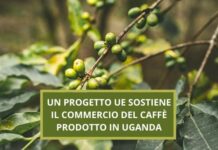 Un progetto dell’UE per sostenere il mercato del caffè e del cacao ugandese