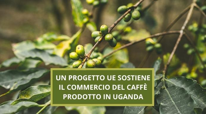 Un progetto dell’UE per sostenere il mercato del caffè e del cacao ugandese