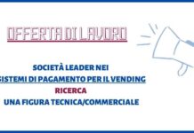 Annuncio di lavoro. Società leader nei sistemi di pagamento ricerca personale