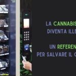 La cannabis light diventa illegale. Un referendum per salvare la filiera
