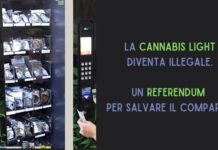La cannabis light diventa illegale. Un referendum per salvare la filiera