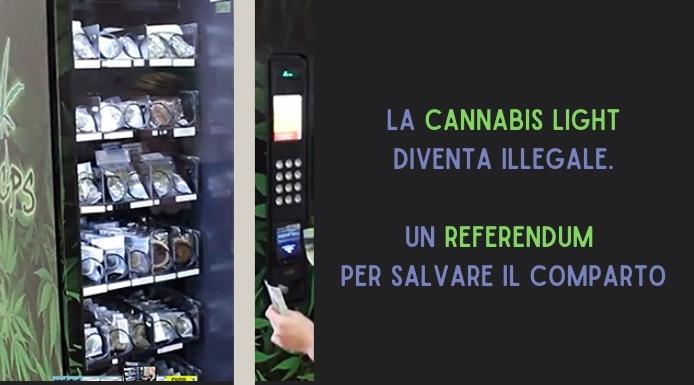 La cannabis light diventa illegale. Un referendum per salvare la filiera