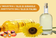 Sparisce l’olio di girasole, torna l’olio di palma