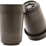 MUG-FONDO