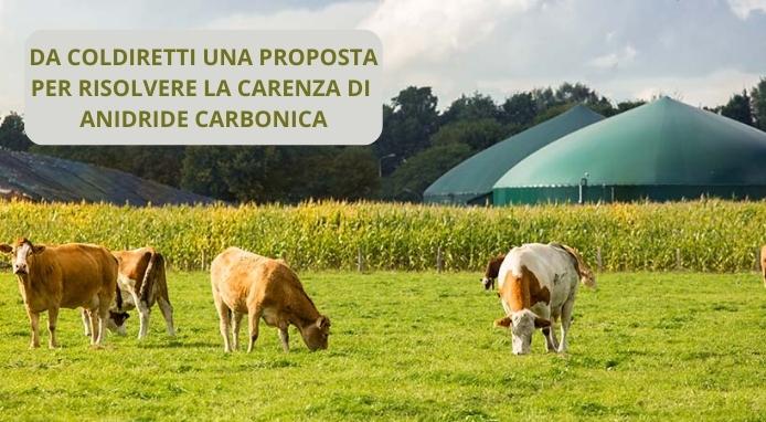 Coldiretti: dagli allevamenti bovini anidride carbonica per l’acqua minerale