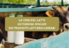 Crisi della produzione del latte e rincari dei prodotti lattiero-caseari