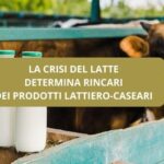 Crisi della produzione del latte e rincari dei prodotti lattiero-caseari