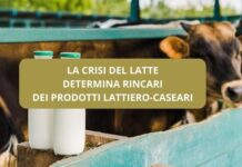Crisi della produzione del latte e rincari dei prodotti lattiero-caseari