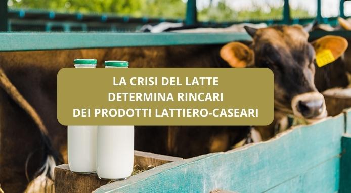 Crisi della produzione del latte e rincari dei prodotti lattiero-caseari