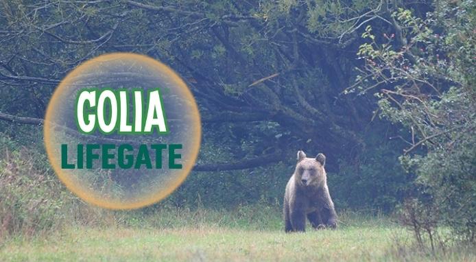 Golia con Lifegate per riqualificare l’habitat dell’orso marsicano