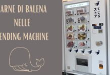 Carne di balena nelle vending machine, nonostante le proteste