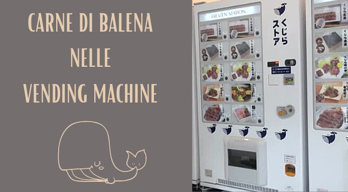 Carne di balena nelle vending machine, nonostante le proteste