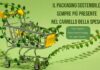 Gli italiani scelgono sempre di più un packaging sostenibile. I dati di Nomisma
