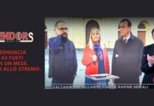 Vendors Service denuncia: 43 furti in un mese, un’escalation mai vista prima