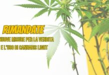 Cannabis legale e distributori automatici: la stretta è solo rimandata