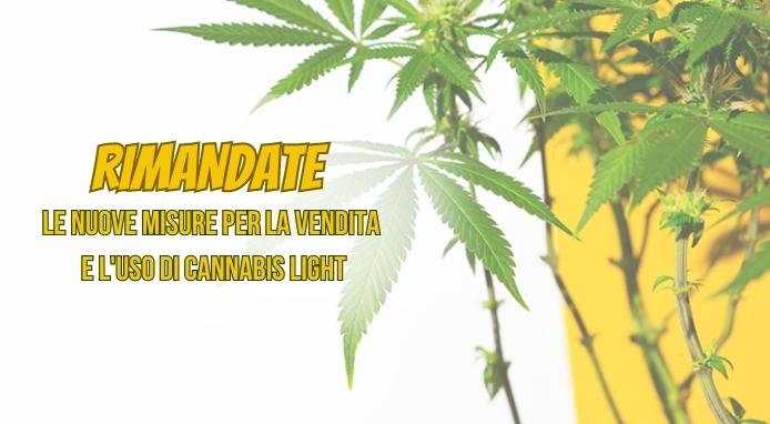 Cannabis legale e distributori automatici: la stretta è solo rimandata