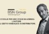 Furto ai d.a. di BSN Group: l’azienda si fa risarcire con il lavoro