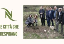 Nespresso rigenera l’area verde del Geoparco delle Madonie in Sicilia