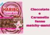 HARIBO Chamallows Choco Mini: un goloso gioco di contrasti