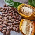 Cacao: l’escalation dei prezzi e le speculazioni mettono in crisi la filiera