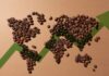 Crisi del caffè: scorte ai minimi storici. Interviene SACE