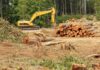 Nestlé, Mars Wrigley e Ferrero supportano la legge dell’UE sulla deforestazione