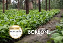 Caffè Borbone ottiene la Gold Medal nel Sustainability Rating di EcoVadis