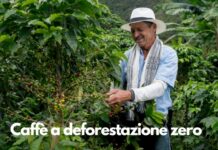 Dal Costa Rica arriva in Italia il primo caffè a deforestazione zero
