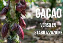 Secondo Mondelēz International i prezzi del cacao tendono a stabilizzarsi