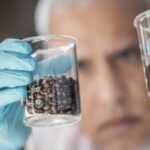 Da ENEA un nuovo progetto per la tracciabilità del caffè di alta qualità
