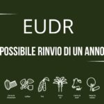 EUDR: probabile rinvio dell’entrata in vigore della normativa anti deforestazione