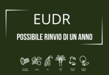 EUDR: probabile rinvio dell’entrata in vigore della normativa anti deforestazione