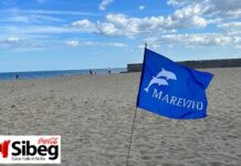 Sibeg Coca-Cola e Marevivo insieme per la quarta edizione del Blue Day