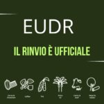 Il regolamento europeo sulla deforestazione (EUDR) rinviato ufficialmente