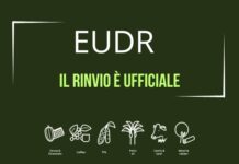 Il regolamento europeo sulla deforestazione (EUDR) rinviato ufficialmente