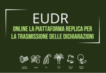 EUDR. Online la piattaforma test per la trasmissione delle dichiarazioni di “due diligence”