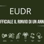 Legge sulla deforestazione (EUDR): ufficiale il rinvio di un anno
