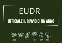 Legge sulla deforestazione (EUDR): ufficiale il rinvio di un anno
