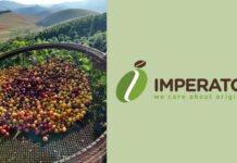 La tempesta perfetta nel mercato del caffè: l’analisi di IMPERATOR
