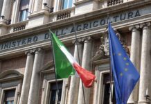 Il Ministero dell’Agricoltura promette sostegno alle torrefazioni italiane
