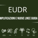 EUDR: semplificazioni e nuove linee guida UE contro la deforestazione