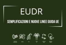 EUDR: semplificazioni e nuove linee guida UE contro la deforestazione