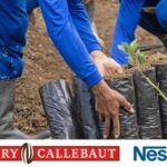 Nestlé e Barry Callebaut insieme per la riforestazione del Brasile