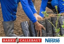 Nestlé e Barry Callebaut insieme per la riforestazione del Brasile