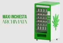 Cannabis light: chiusa l’inchiesta, restano i danni irreparabili per la filiera