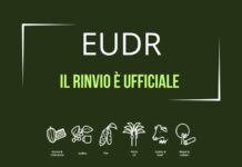 EUDR rinviata: più tempo per torrefattori e filiere del caffè