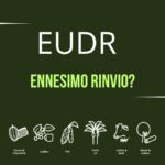 EUDR, nuovo rinvio in vista: il caffè al centro delle incertezze