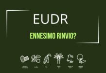 EUDR, nuovo rinvio in vista: il caffè al centro delle incertezze