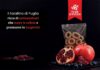Fiore di Puglia presenta i Taralli Longevity: tradizione e innovazione funzionale